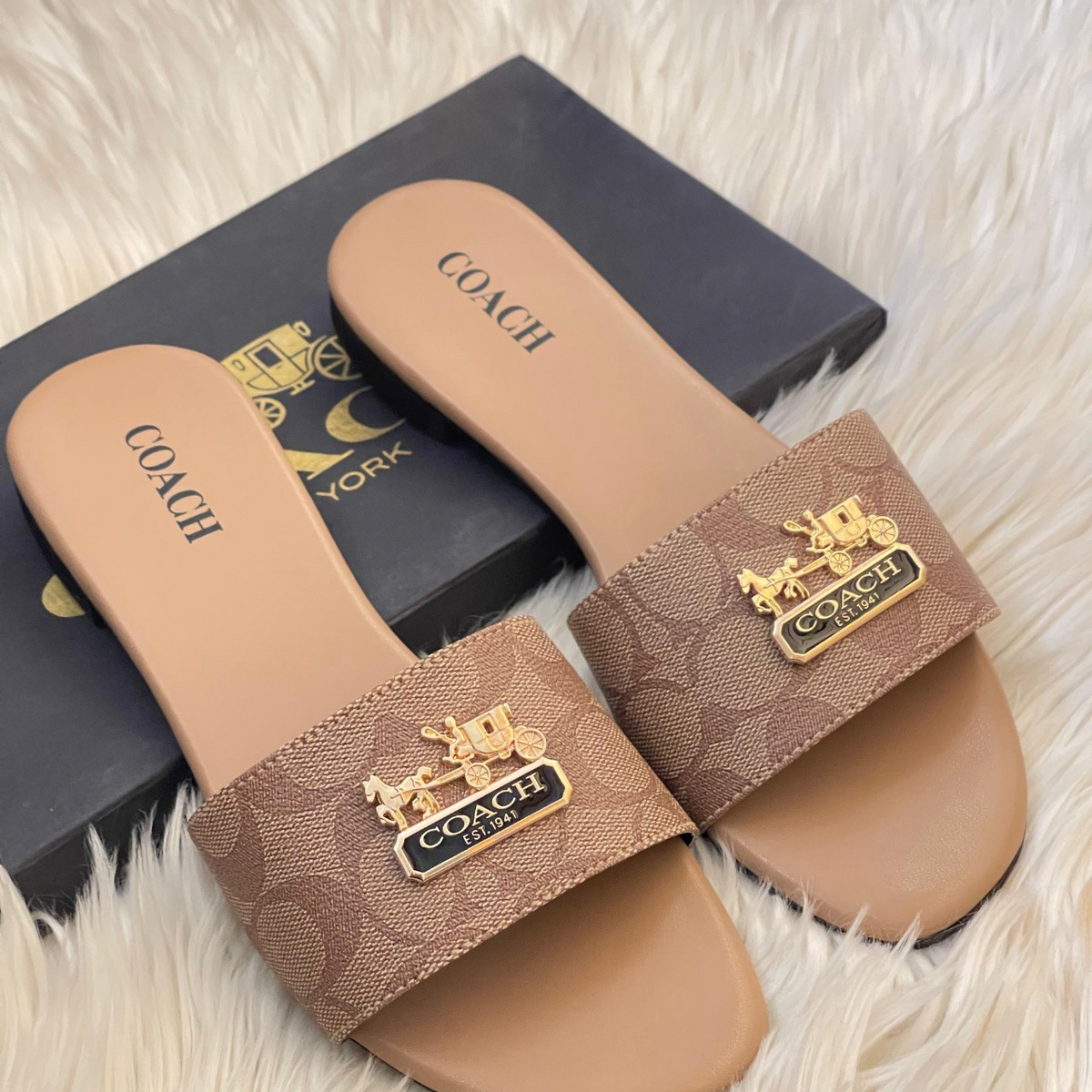 Coach slides