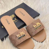 Coach slides