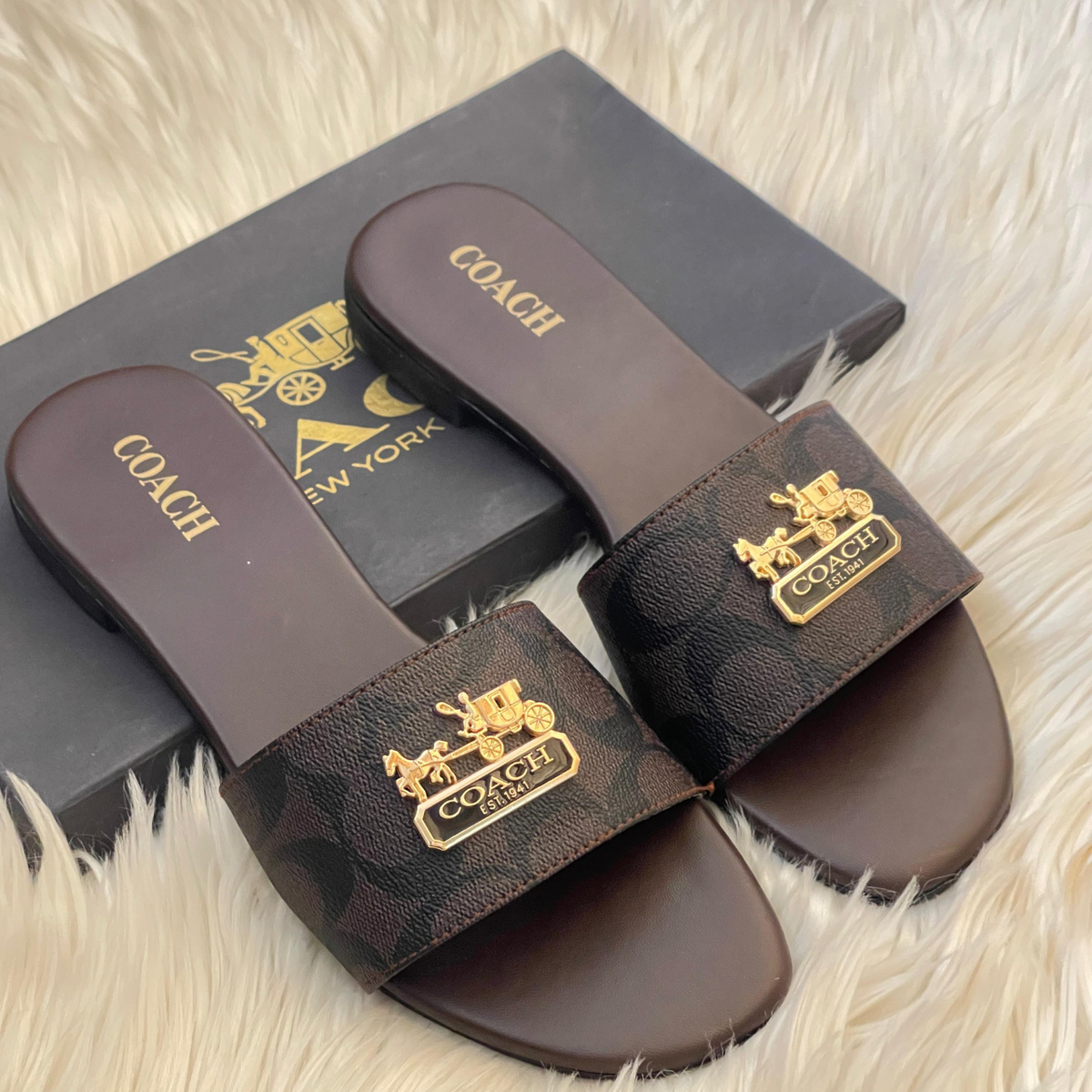Coach slides