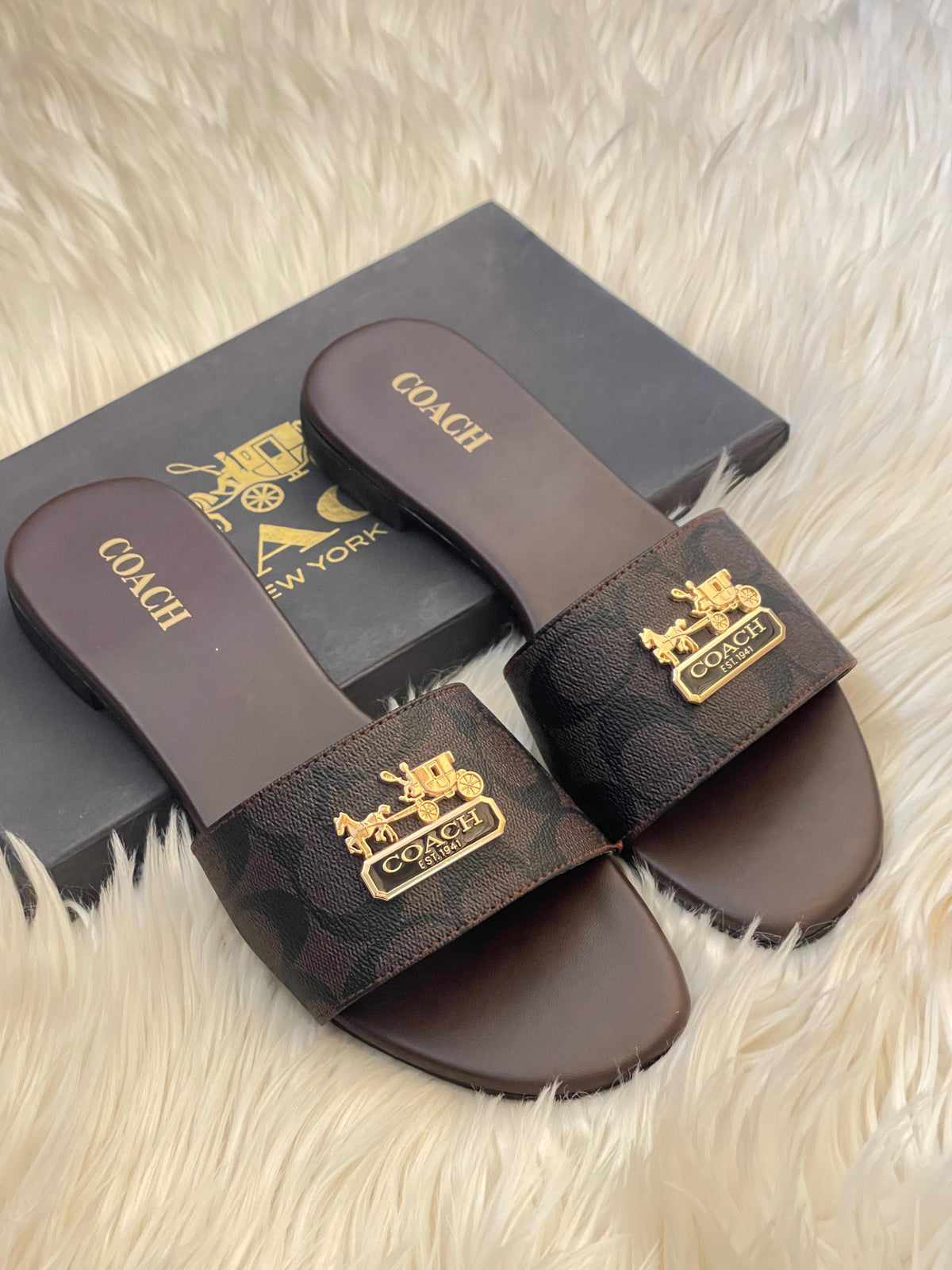 Coach slides