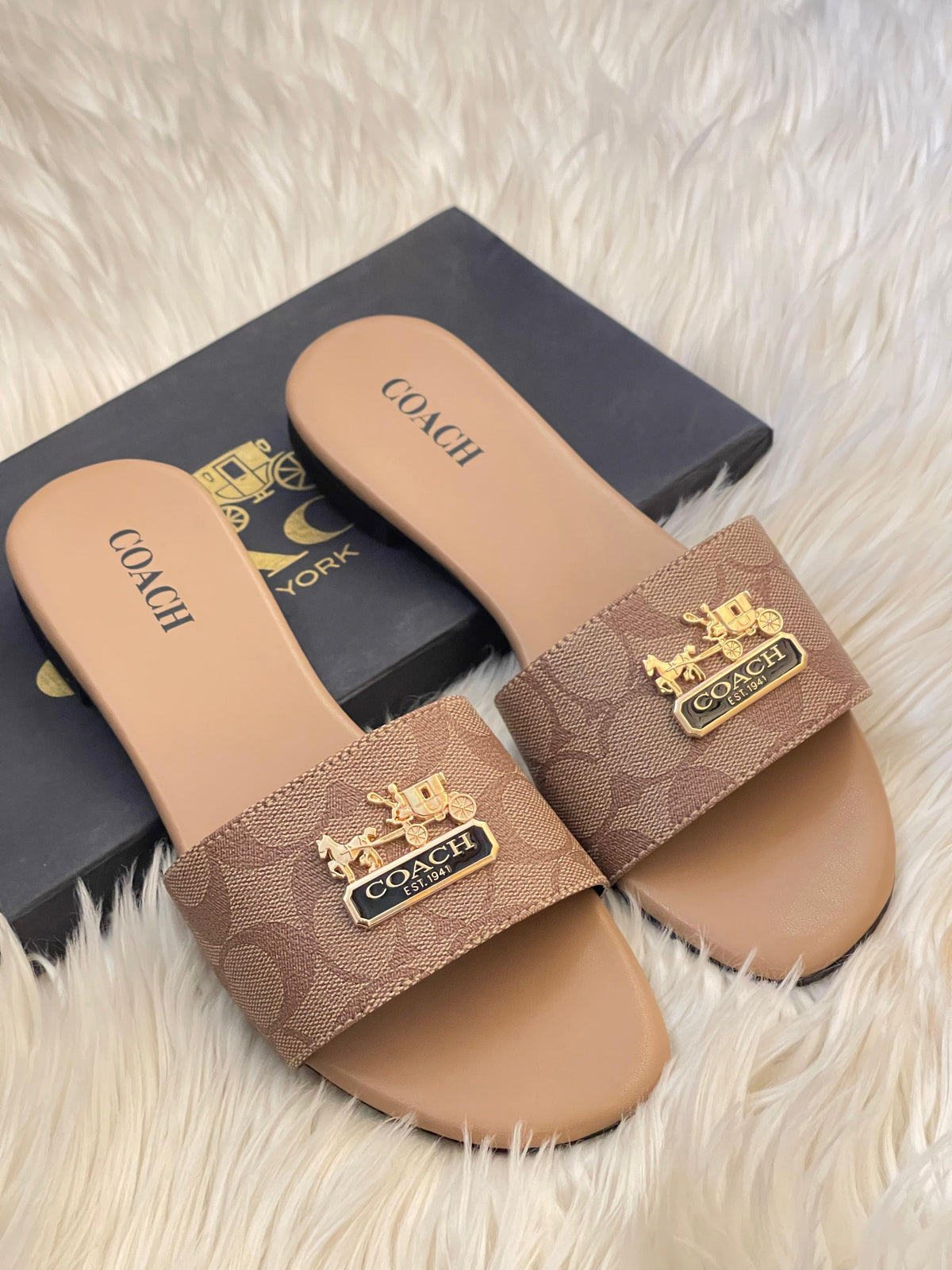 Coach slides